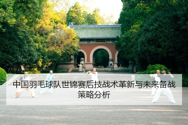 zhong-guo-yu-mao-qiu-dui-shi-jin-sai-hou-ji-zhan-shu-ge-xin-yu-wei-lai-bei-zhan-ce-lve-fen-xi-2-741.jpg