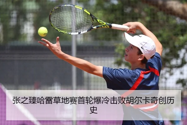 张之臻哈雷草地赛首轮爆冷击败胡尔卡奇创历史